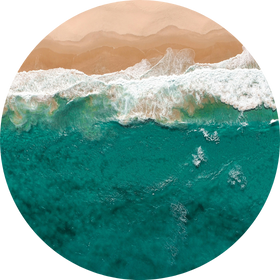 Mindful Exercises by Robyn D. Walser